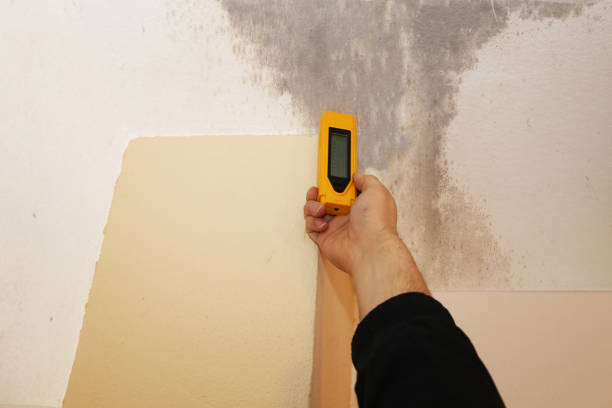 Best Forensic Mold Investigation  in Greenville, IN