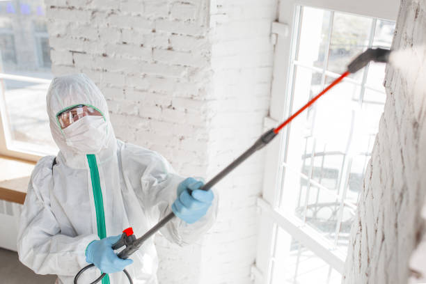 Best Mold Documentation for Insurance Claims  in Greenville, IN
