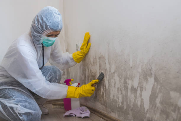 Best HVAC Mold Inspection and Cleaning  in Greenville, IN