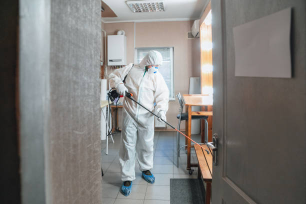 Best Mold Prevention Services  in Greenville, IN