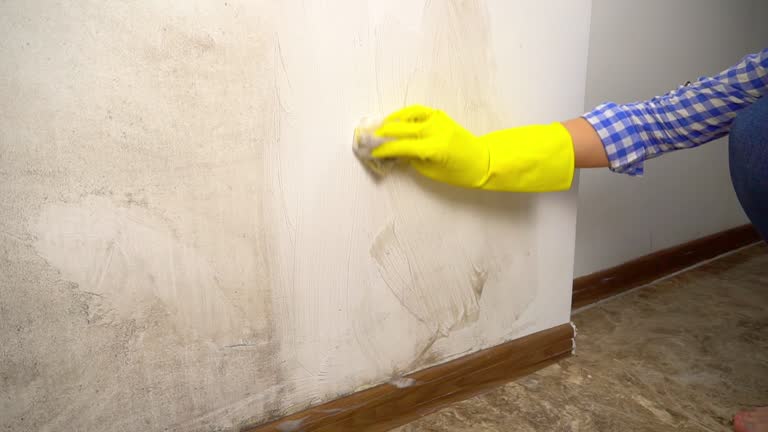 Best Mold Removal for HVAC Installations  in Greenville, IN
