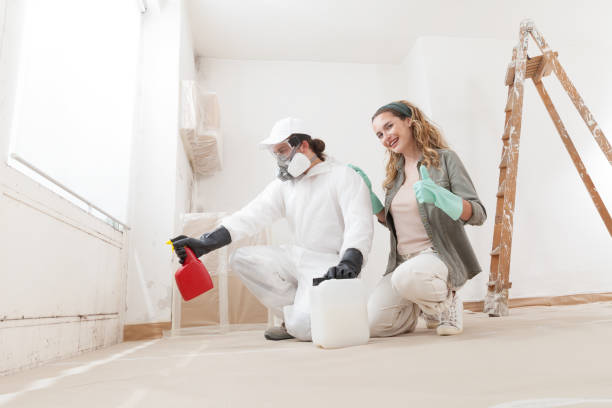 Mold Documentation for Insurance Claims in Greenville, IN