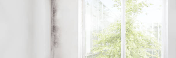 Best Post-Remediation Verification Testing  in Greenville, IN
