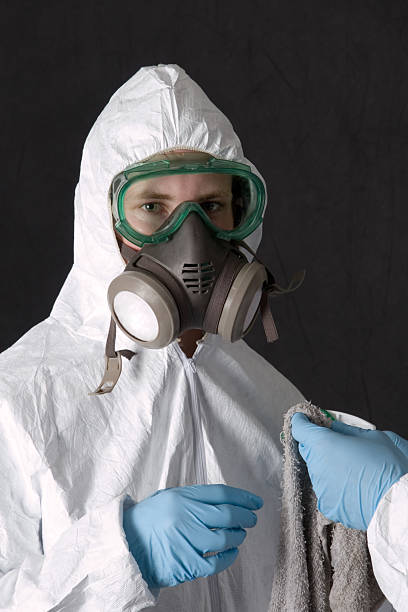 Best Mold Documentation for Insurance Claims  in Greenville, IN